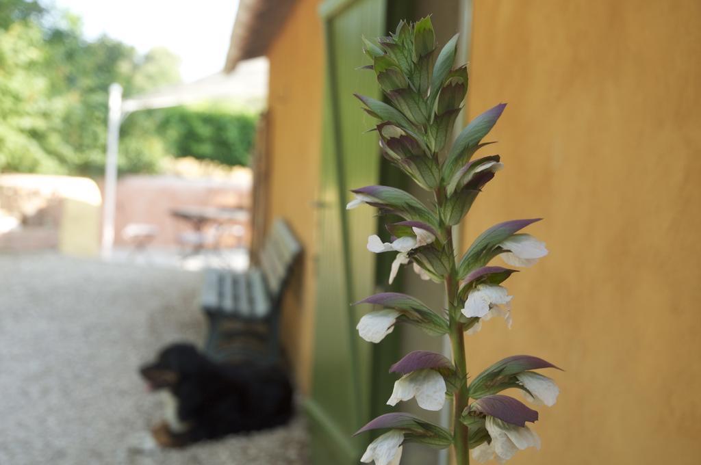 Gîte de Bacalan Mormoiron Habitación foto